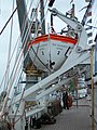 Gravity Roller Davit