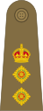 Colonel