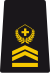 OR-7b - Chief sergeant major