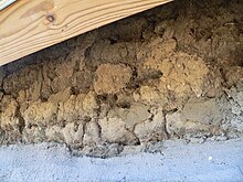 Close-up of sod blocks. Grass still visible on undersides