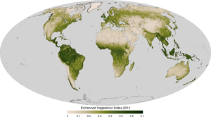 2011 dünya bitki indeksi.