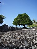 Zicht op de gerestaureerde marae