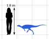 Othnielosaurus chart