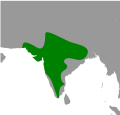 Mapa występowania