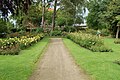 Einer der Wege durch das Rosarium