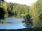 Schlötenteich im Greizer Wald