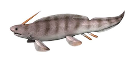 Xenacanthus