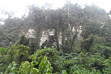 Bakundu Forest Reserve, Lake Barombi