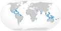 Bull shark geographic range