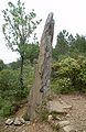 Menhir in Rabós,