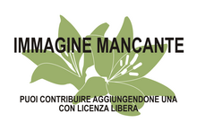 Immagine di Piora ericoides mancante