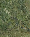 Van Gogh Museum image