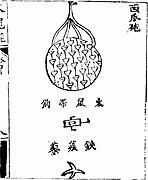 A 'watermelon bomb' (xi gua pao) as depicted in the Huolongjing. It contains 'fire rats,' mini rockets with hooks.