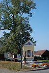 Winterlinde (Tilia cordata)