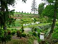 park (arboretum Wojsławice), 1881