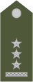 Rotmajster (Slovak Ground Forces)[8]