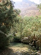 Ein Gedi i Israel