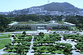 August 30th California Academy of Sciences, a green museum