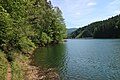 Blick vom Wanderweg zur Staumauer