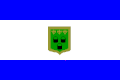 GIF flag