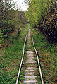 Das Bild zeigt die Gleise einer 600 mm-Feldbahn im Moorgebiet von Soos in Nordwestböhmen. Die Bahn diente zum Transport von Kaolin (Woche 32)