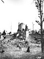 Burg Treffen (Kärnten) um 1890 mit Blick aus Süd-Westen.