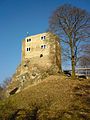 Burgruine Liebenstein (Blick aus südwestlicher Richtung) Februar 2008