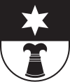 Wappen von Sumvitg