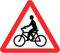 Bicycle crossing