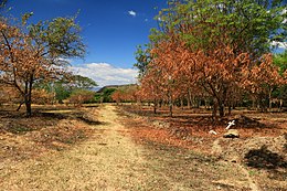 Saldaña – Veduta