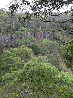 Guy-Fawkes-River-Nationalpark