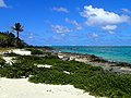 Spiaggia dell'isola di Nukunamo.