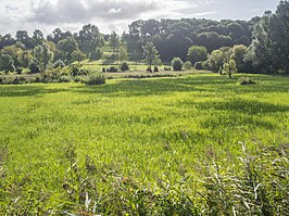 Overbroek-Egoven