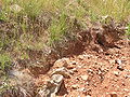 Recently exposed soil. Red Hill gained the name from the colour of its soil.