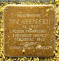 Augenreich, Toni