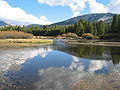 Yosemite Ulusal Parkı'nda Tuolumne Merası