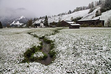 Biotop Im Moos Reuthe, Vorarlberg