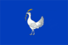 Flag of Drochia
