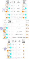 G2 Maximal Embeddings with Weyl Orbits and Coxeter-Dynkin