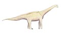 Haestasaurus