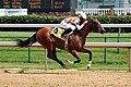 en:Horse_racing, en:List_of_U.S._state_horses