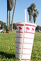 In-N-Out Burger cup