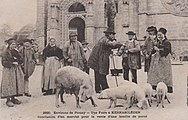 Sale of pigs (old postcard).