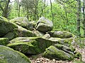 Am steil zum Weschnitztal hin abfallenden Trommhang findet man eine große Zahl mächtiger Felsburgen und Blockhalden, z. B. die Lindenstein-Trommgranit-Formation.