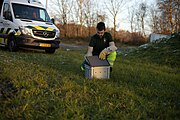 Dierenambulancevrijwilliger laat een vogel vrij uit een bak