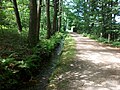 Floßgraben beim Nachtsanatorium Niederschlema