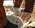 Kamele in Guelta d'Archei, Ennedi