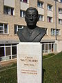 Wass Albert szobra