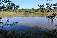 Réserve naturelle du Marais-Léon-Provancher