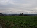 Widok na Osiedle nad Filipówką